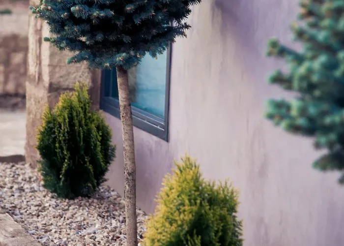 Restaurante Masia La Torre